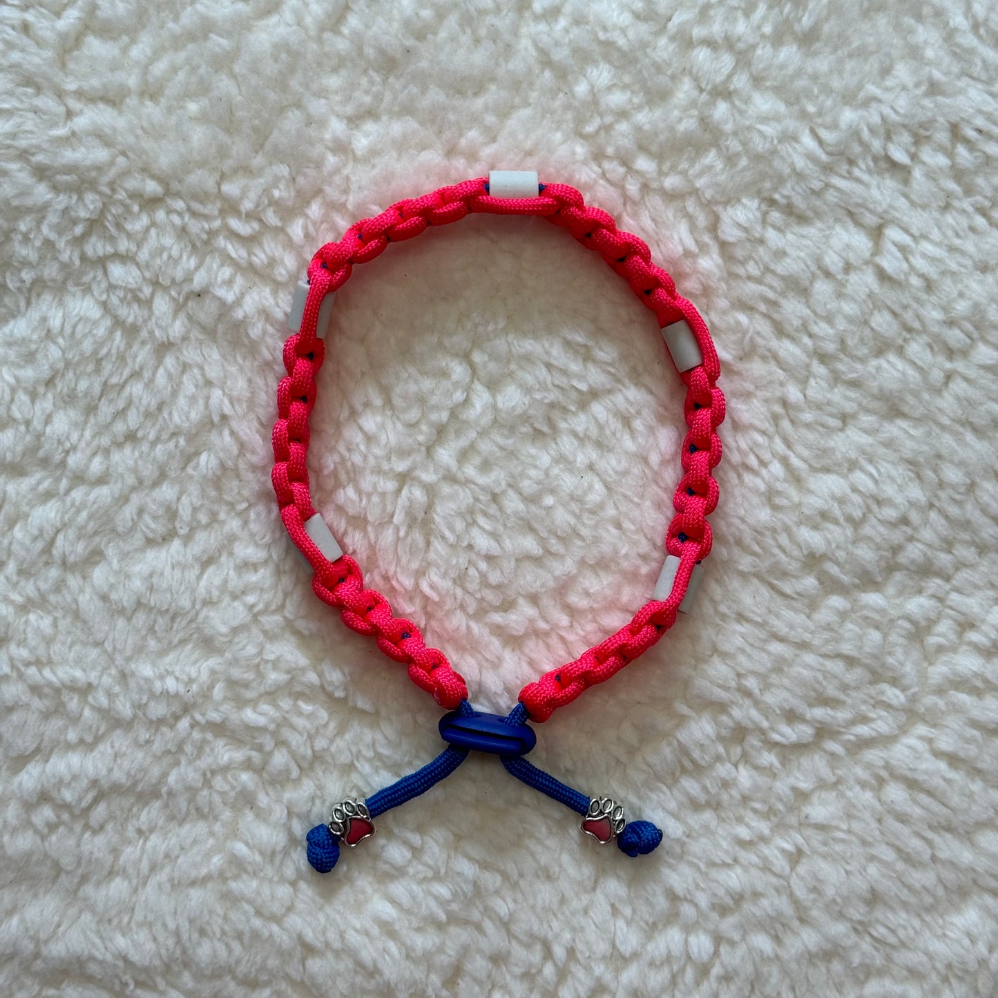 Tick Collar Dog cobalt blue/bright pink (30-34 cm)