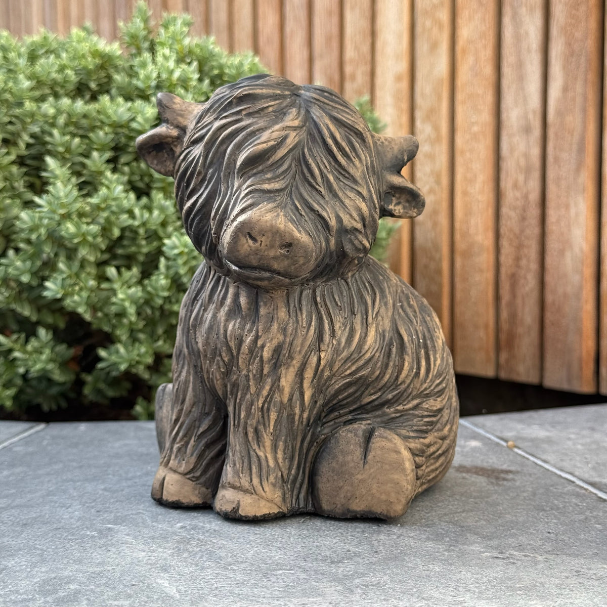 Brynxz Sitting Scotty Cute Majestic Brown D14 H16