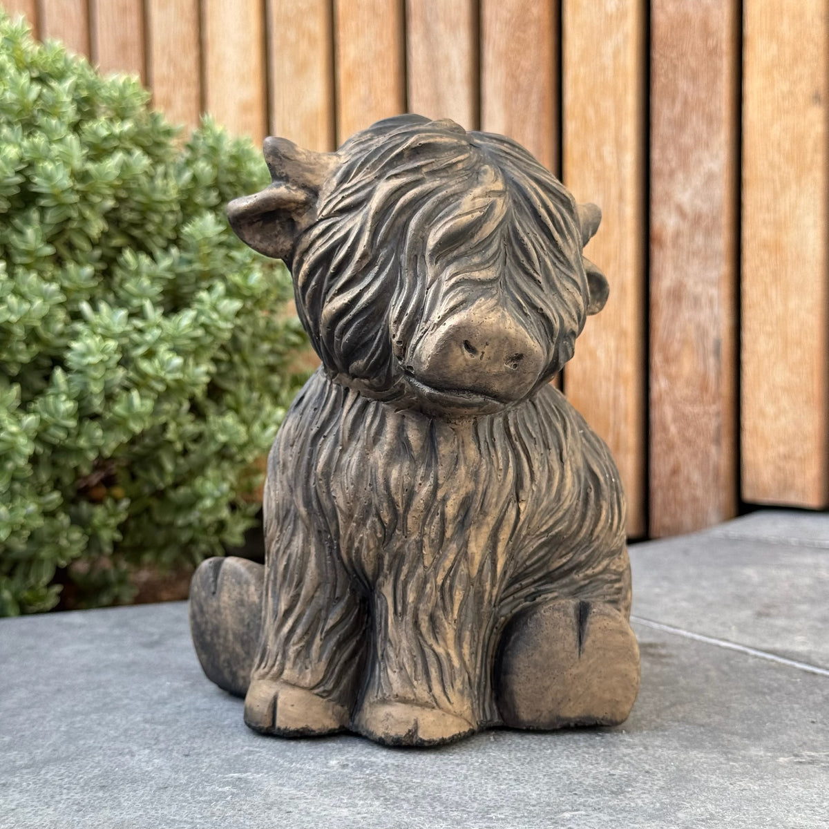 Brynxz Sitting Scotty Cute Majestic Brown D14 H16